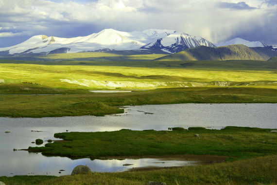 Плато укок горный алтай фото